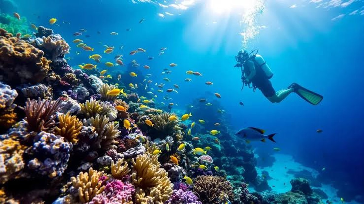 Stabilita hlubokomořských vod v Panamě: Důsledky pro mořskou biodiverzitu a ekosystémy