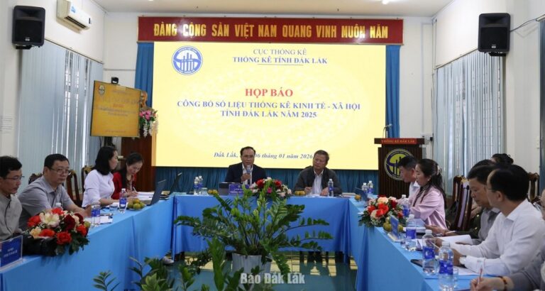 Statistické údaje o hospodářství a společnosti v provincii Đắk Lắk