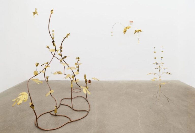 Tajný jazyk rostlin podle umělkyně Blancy Gracia na výstavě v Římě