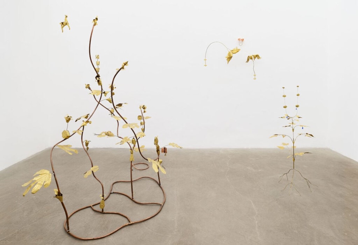 Tajný jazyk rostlin podle umělkyně Blancy Gracia na výstavě v Římě