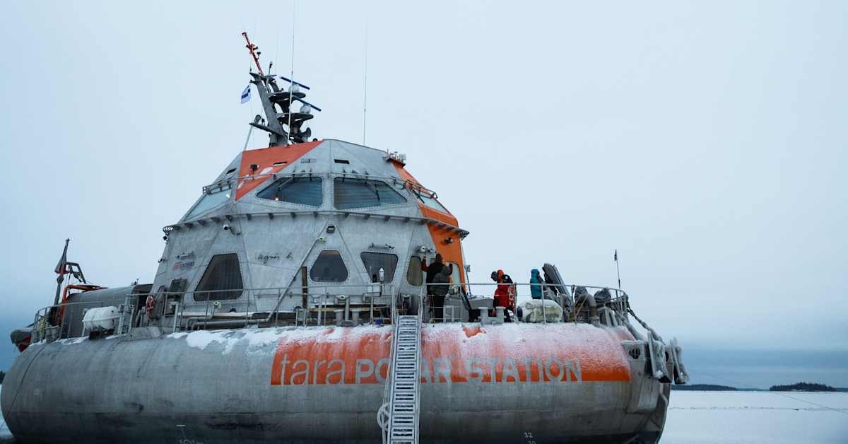 Tara: Výzkumná loď v srdci Arktidy