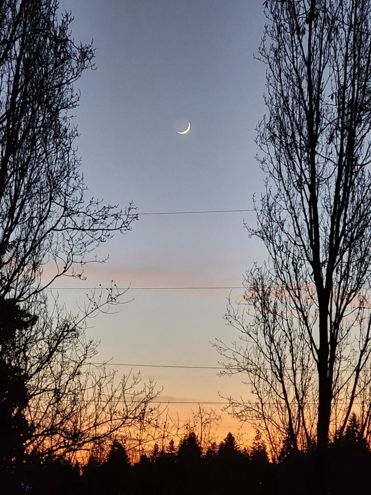 Úchvatný pohled na polární záři: Zprávy a fotografie ze severu