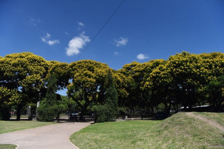 Úloha ibirás pitás v krajině Tucumán