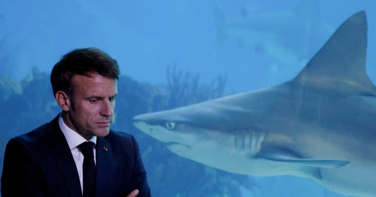 Vliv oceánů na globální geopolitiku a životní prostředí