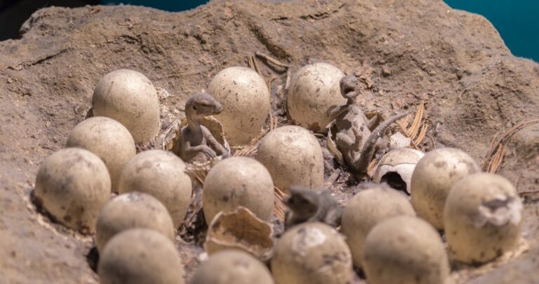 Výjimečný objev v dinosaurím vejci: místo embrya kalcit