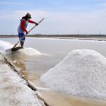 Výroba a charakteristiky mořské soli