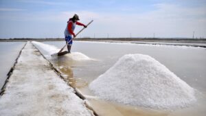 Výroba a charakteristiky mořské soli