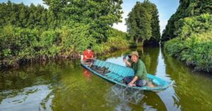 Výzkum a Ochrana Kvality Krajových Krabů v Provincii Cà Mau