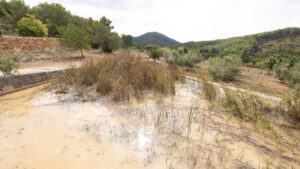 Životní prostředí