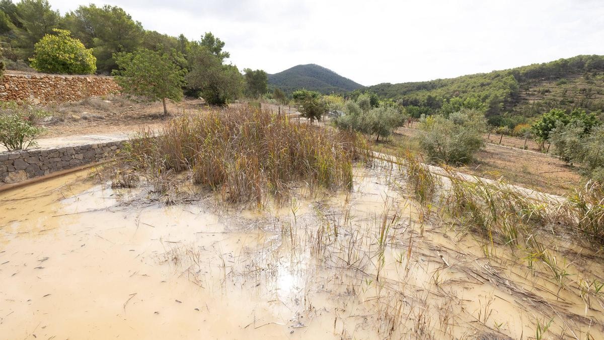 Životní prostředí