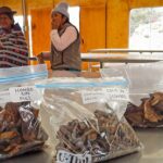 Podpora udržitelného rozvoje výroby hub v komunitě Acopalca